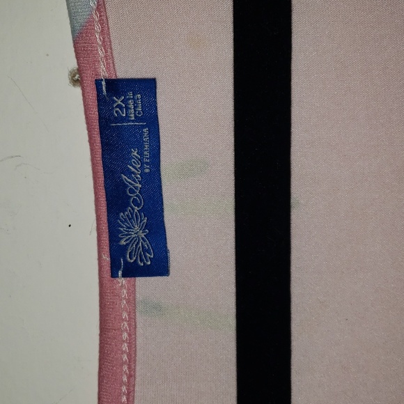 Aster - Picture 2 of 3